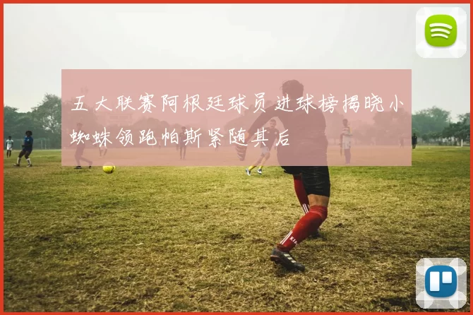 五大联赛阿根廷球员进球榜揭晓小蜘蛛领跑帕斯紧随其后