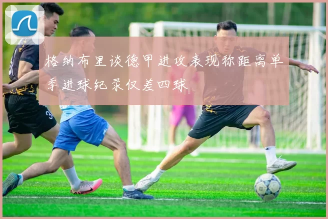 格纳布里谈德甲进攻表现称距离单季进球纪录仅差四球